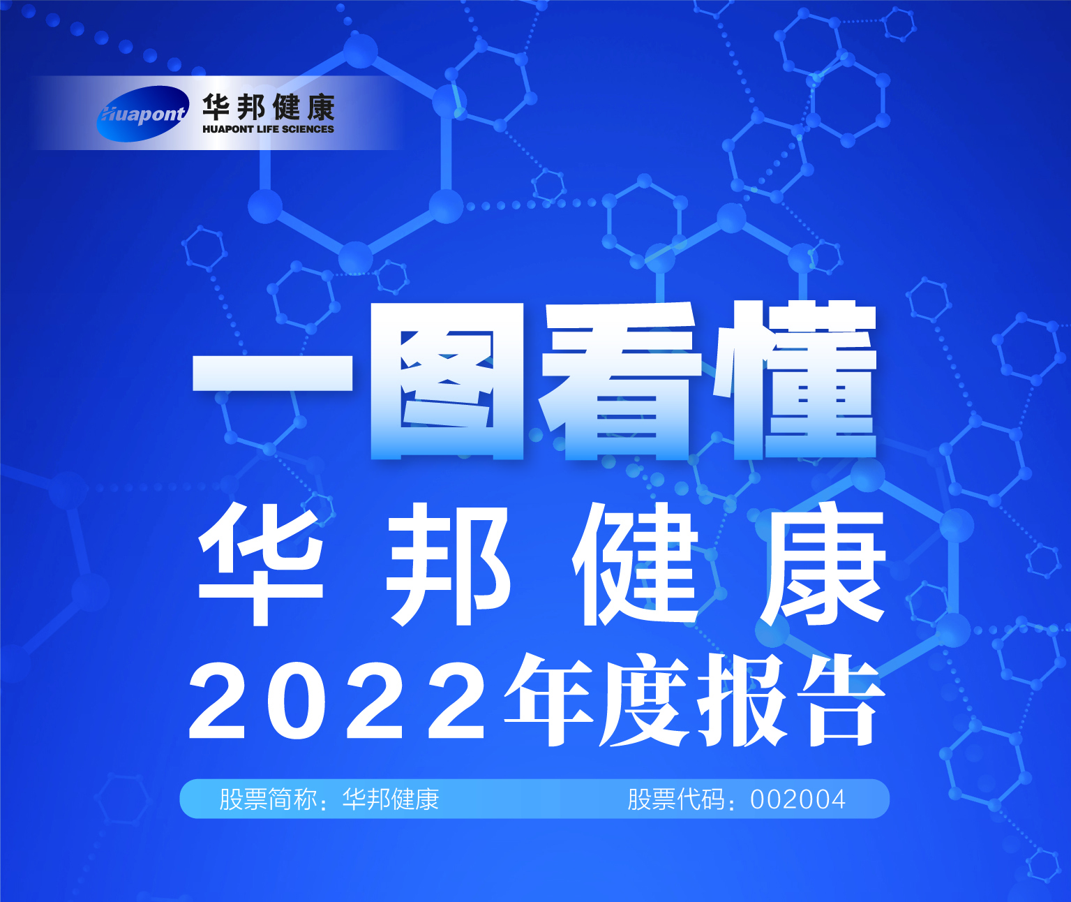 坚定执行“大健康”发展战略，各项业务实现稳健发展 | 一图看懂华邦健康2022年度报告