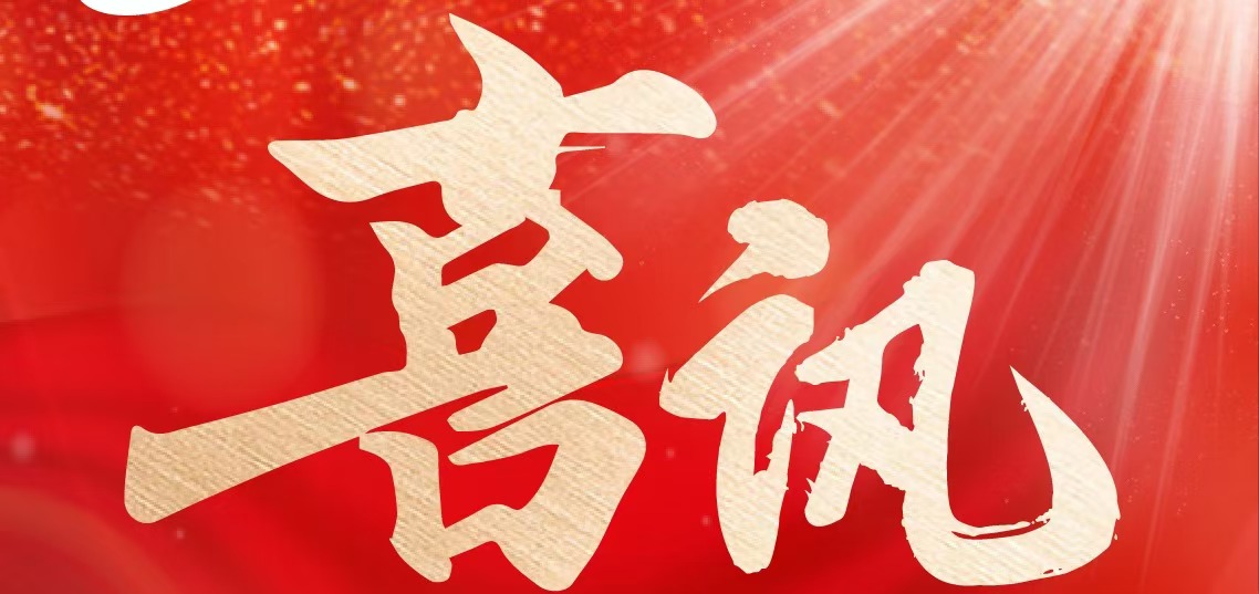 喜讯丨华邦健康再度上榜2024年重庆民企科技创新指数100强